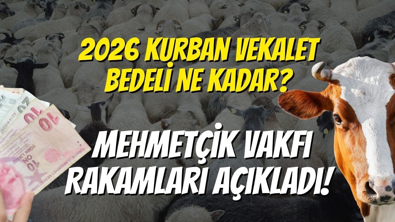 2026 Kurban Vekâlet Bedeli Ne Kadar? Mehmetçik Vakfı Rakamları Açıkladı!
