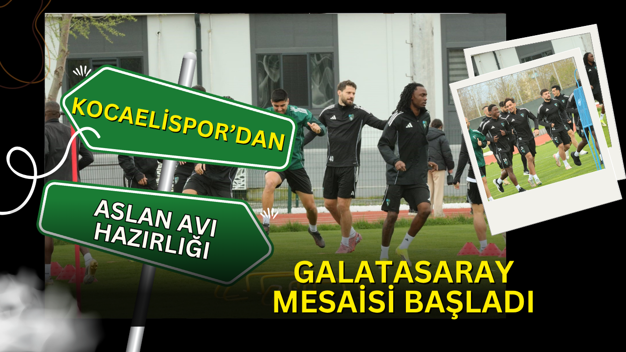 Körfez Brunga Tesisleri'nde Aslan Avı Hazırlığı