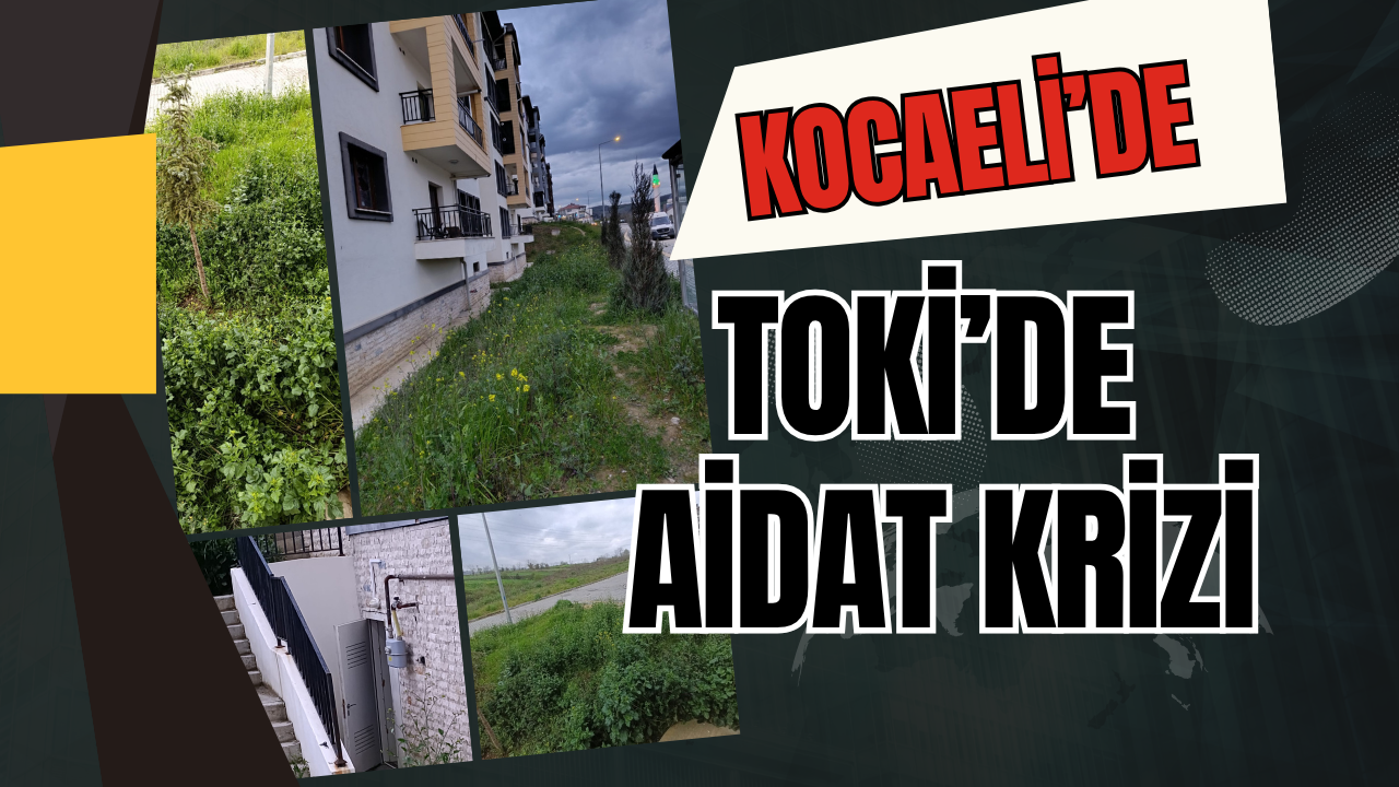 Kocaeli Sepetçi TOKİ Sakinleri İsyan Etti: Yüksek Aidat, Düşük Hizmet!