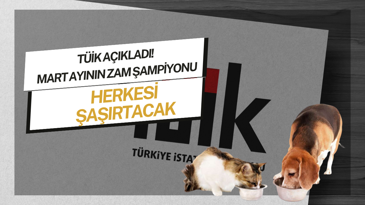 Cebimizdeki Yangın Nereden Çıktı? İşte Mart Ayında En Çok Zamlanan Ürünler