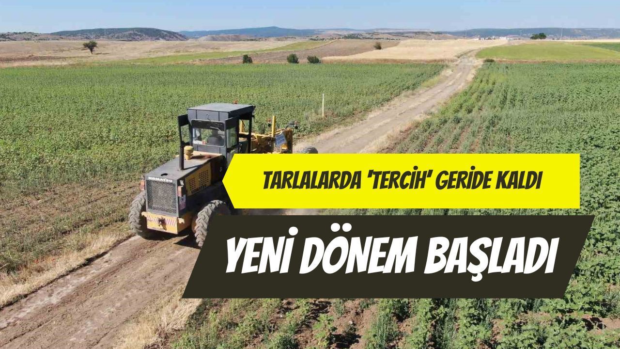 Tarlalarda 'Tercih' Geride Kaldı: Yeni Dönem Başladı