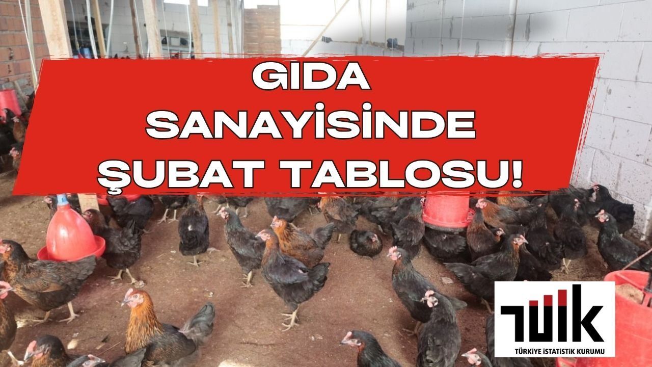 TÜİK Açıkladı: Süt Toplama Miktarı Düştü, Yoğurt ve Peynir Üretimi Arttı