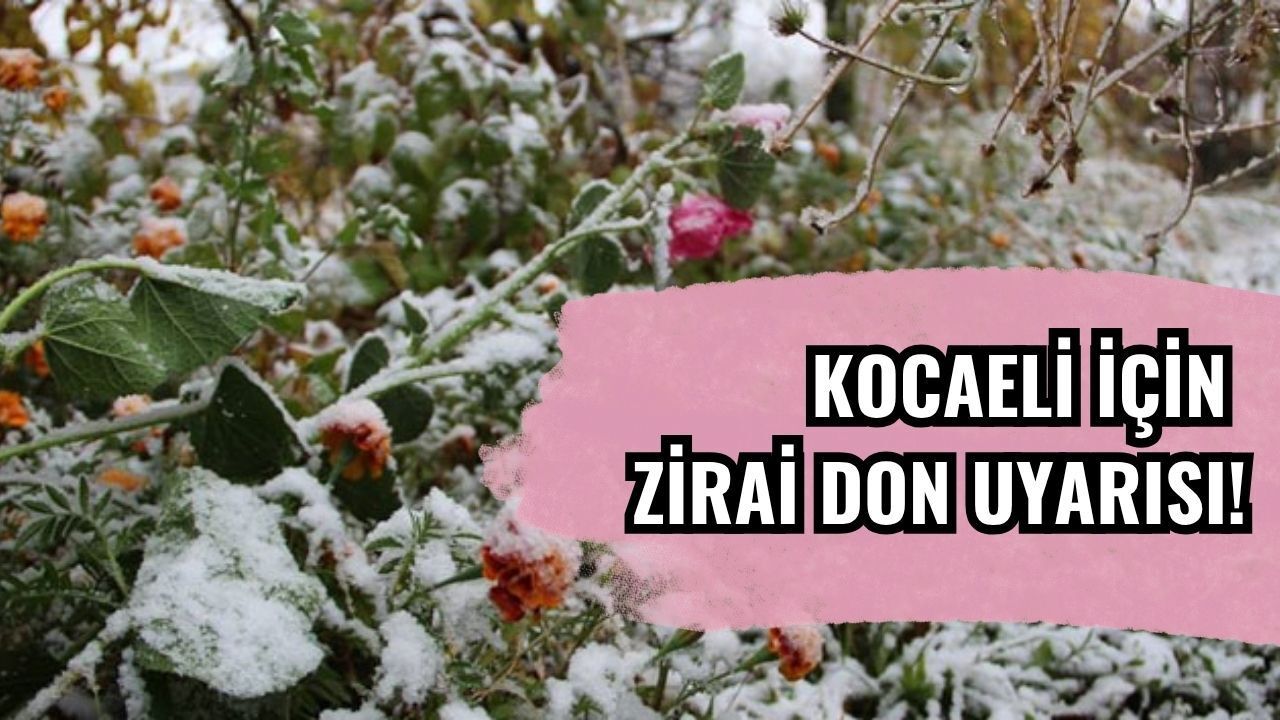 Kocaeli İçin Zirai Don Uyarısı Verildi