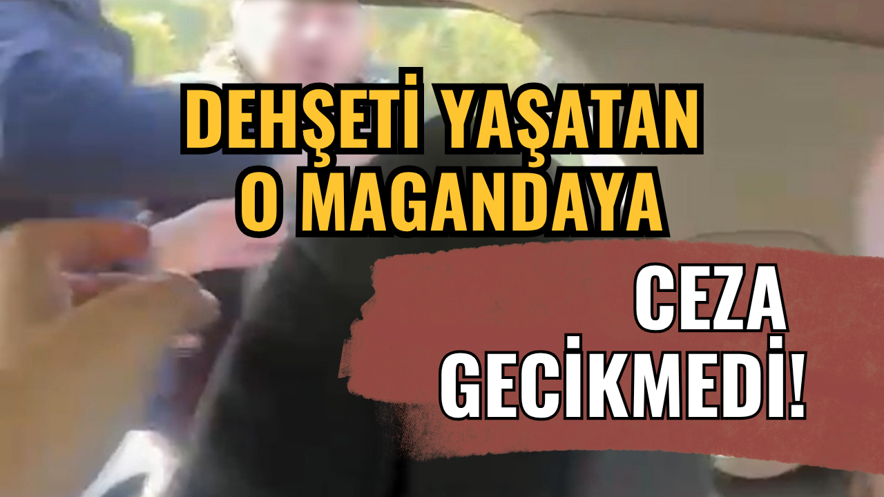 TEM Otoyolu'nda Kocaeli'li Aileye Dehşeti Yaşatmıştı! O Magandaya Ceza Yağdı