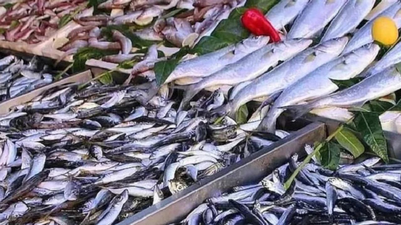 Tezgahlarda 50 lira diye kanmayın! O balık için kritik uyarı