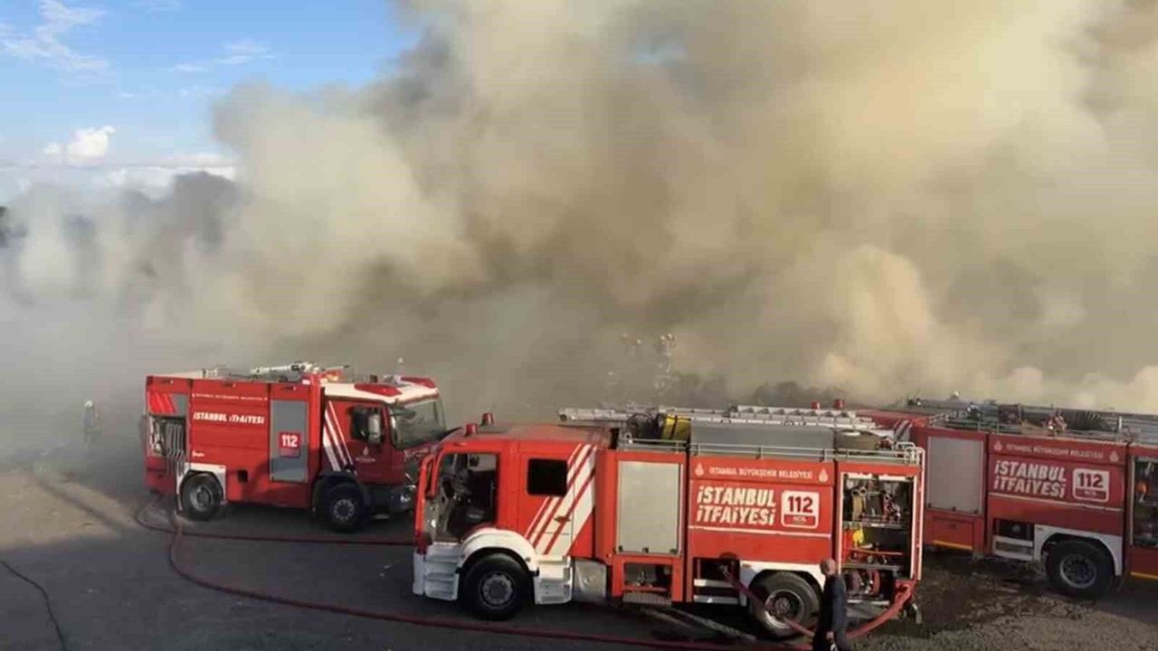 Hayvan barınağı yakınında korkutan yangın
