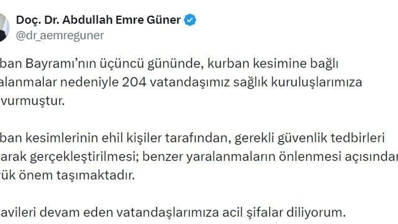 İstanbul İl Sağlık Müdürü Güner: 'Kurban Bayramı'nın üçüncü gününde 204 kişi yaralandı'