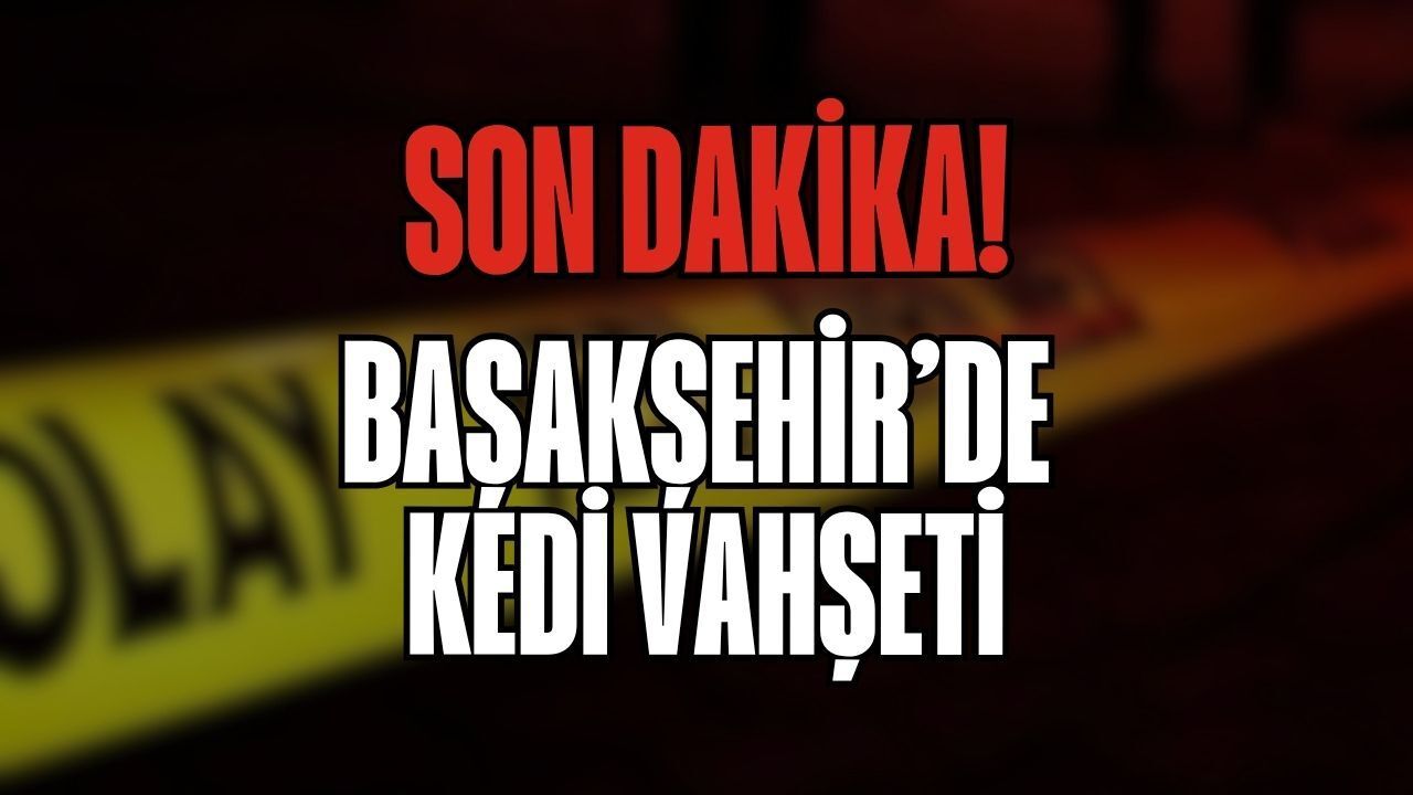 Son Dakika: Başakşehir’de Kedi Vahşeti