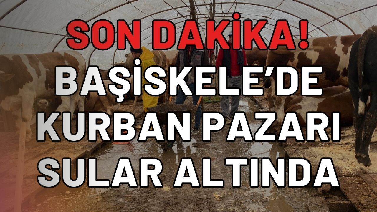 Başiskele'de Kurban Pazarı Sular Altında Kaldı!