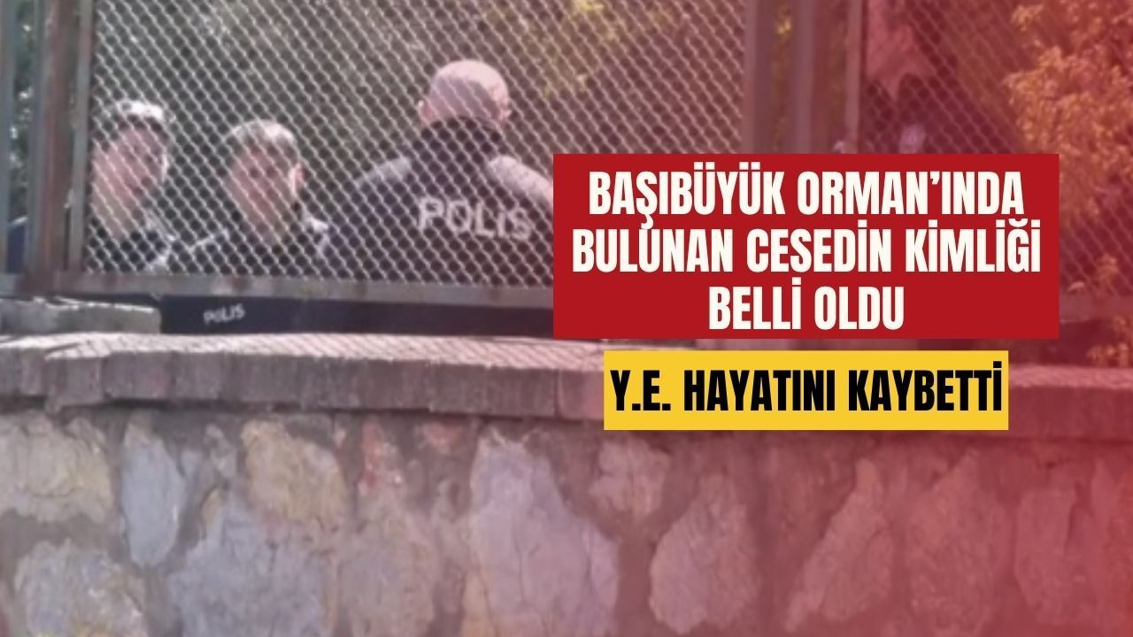 Başıbüyük Ormanı’nda Bulunan Cesedin Kimliği Belli Oldu: Y.E. Hayatını Kaybetti