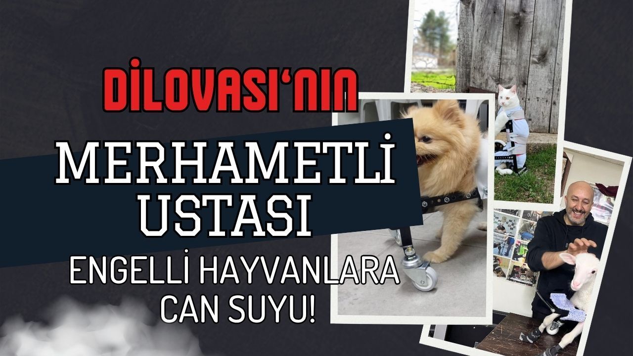 Dilovası’nın Merhametli Ustası: Abdülmenaf Çelik’ten Engelli Hayvanlara Can Suyu!