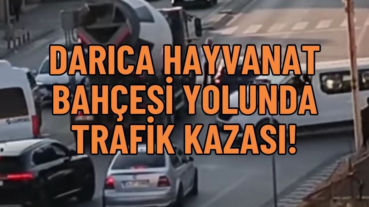 Darıca Hayvanat Bahçesi Yolunda Trafik Durma Noktasına Geldi: Beton Mikseri Ticari Araca Çarptı