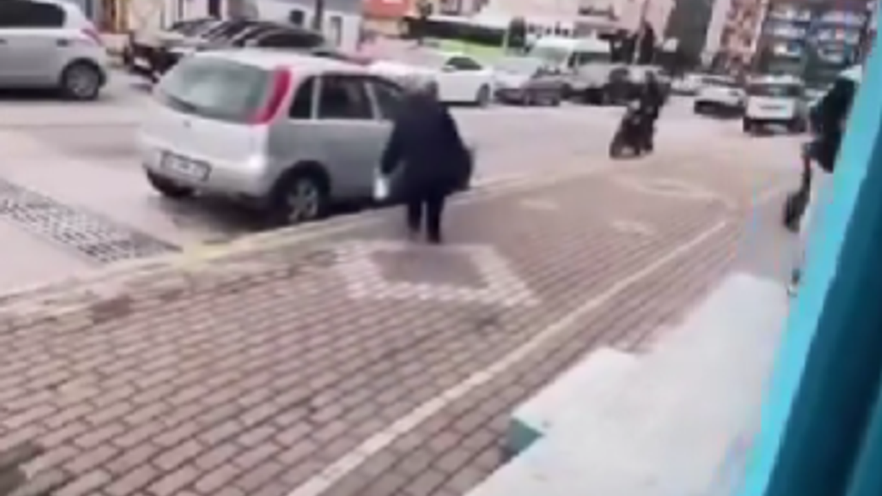Kediye Kimyasal Sıkan Kadın Gözaltına Alındı