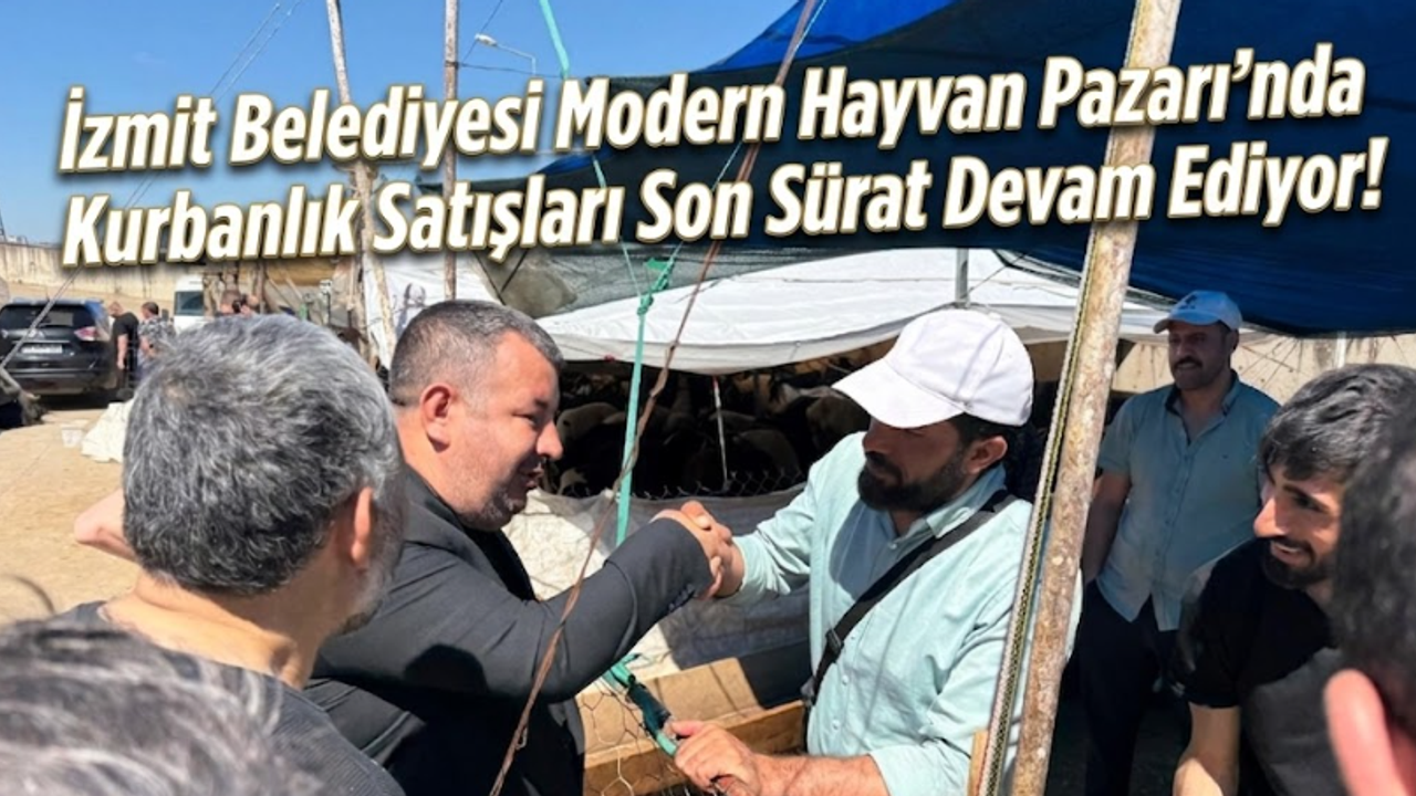 İzmit Belediyesi Modern Hayvan Pazarı’nda Kurbanlık Satışları Son Sürat Devam Ediyor!