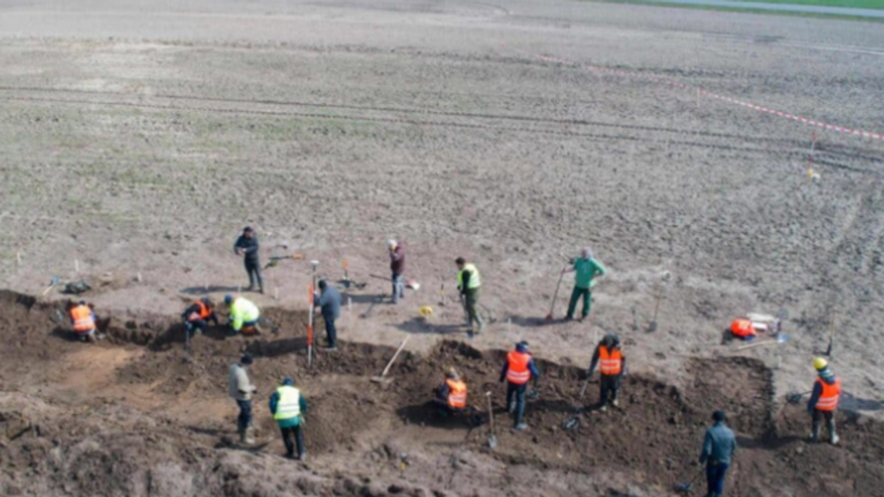 13 Yaşındaki Çocuk Tarlada Servet Buldu! Metal Detektörüyle Viking Kralının Devasa Hazinesini Keşfetti