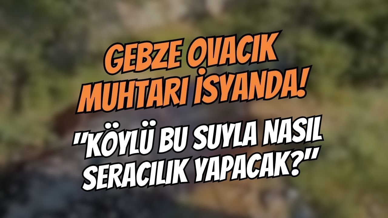 Gebze Derelerinde Kirlilik Alarmı: Köylü Bu Suyla Nasıl Seracılık Yapacak?