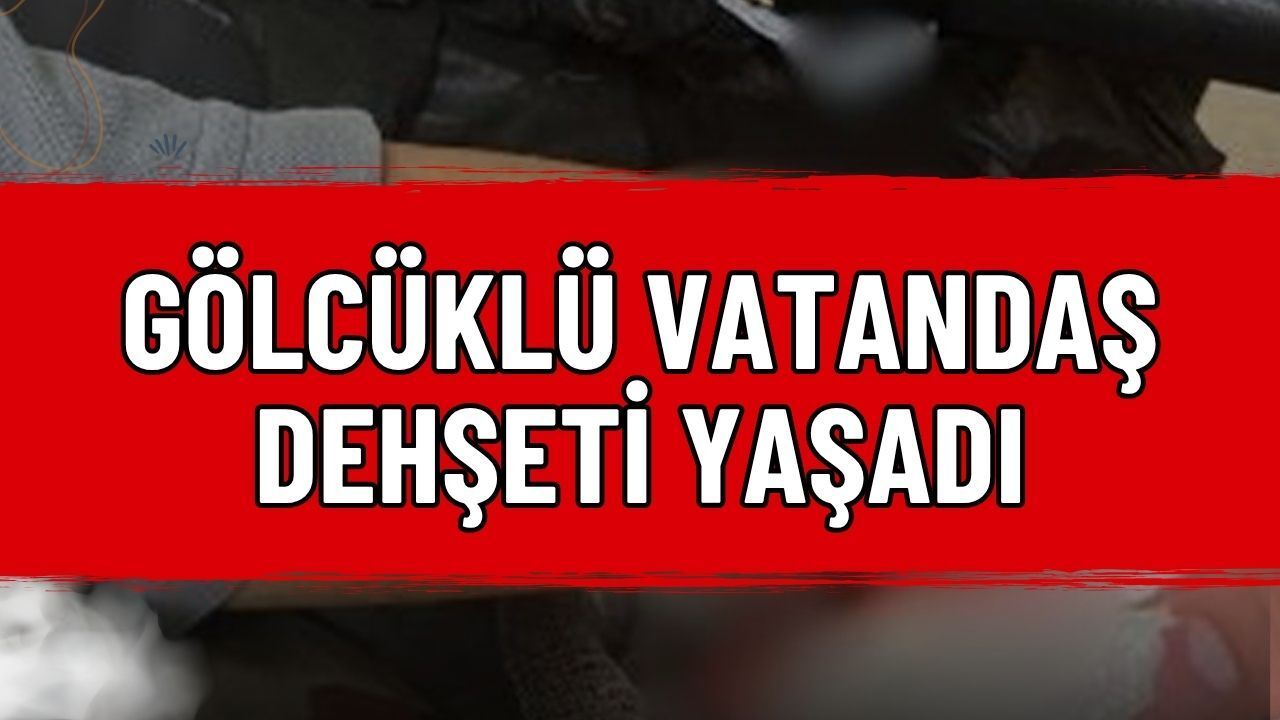 Gölcüklü Vatandaş Kastamonu'da Dehşeti Yaşadı