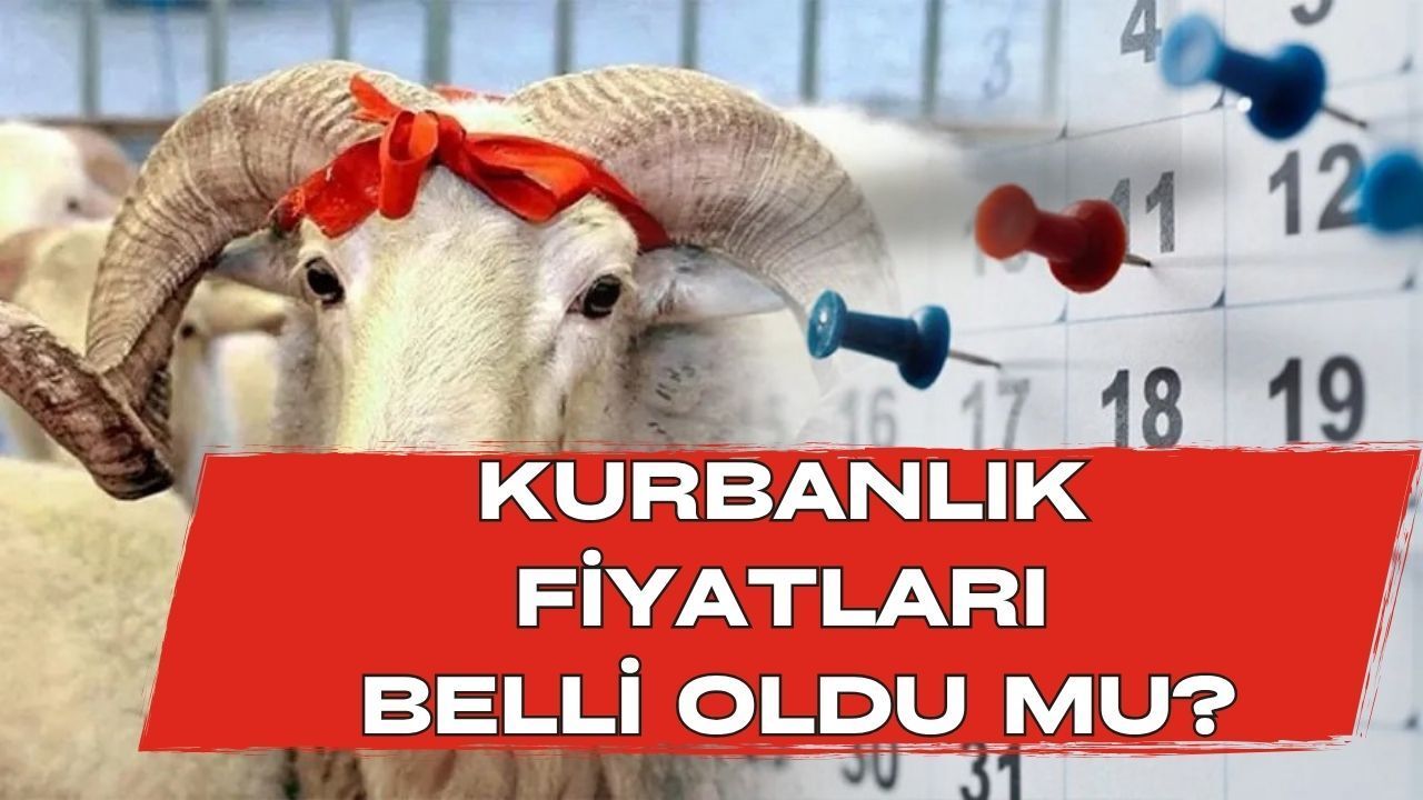 Güncel Kurbanlık Fiyatları Belli Oldu Mu? Piyasada Son Durum Ne?