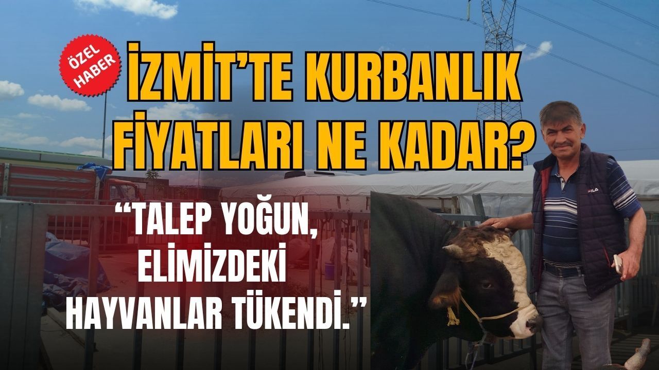 İzmit'te Kurbanlık Fiyatları 200 Bin TL’den 350 Bin TL’ye Çıkıyor: Talep Yoğun, Elimizdeki Hayvanlar Tükendi