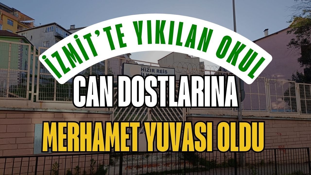 İzmit Sakinleri Yeni Okul Beklerken, Can Dostlarına Merhamet Yuvası Oldu