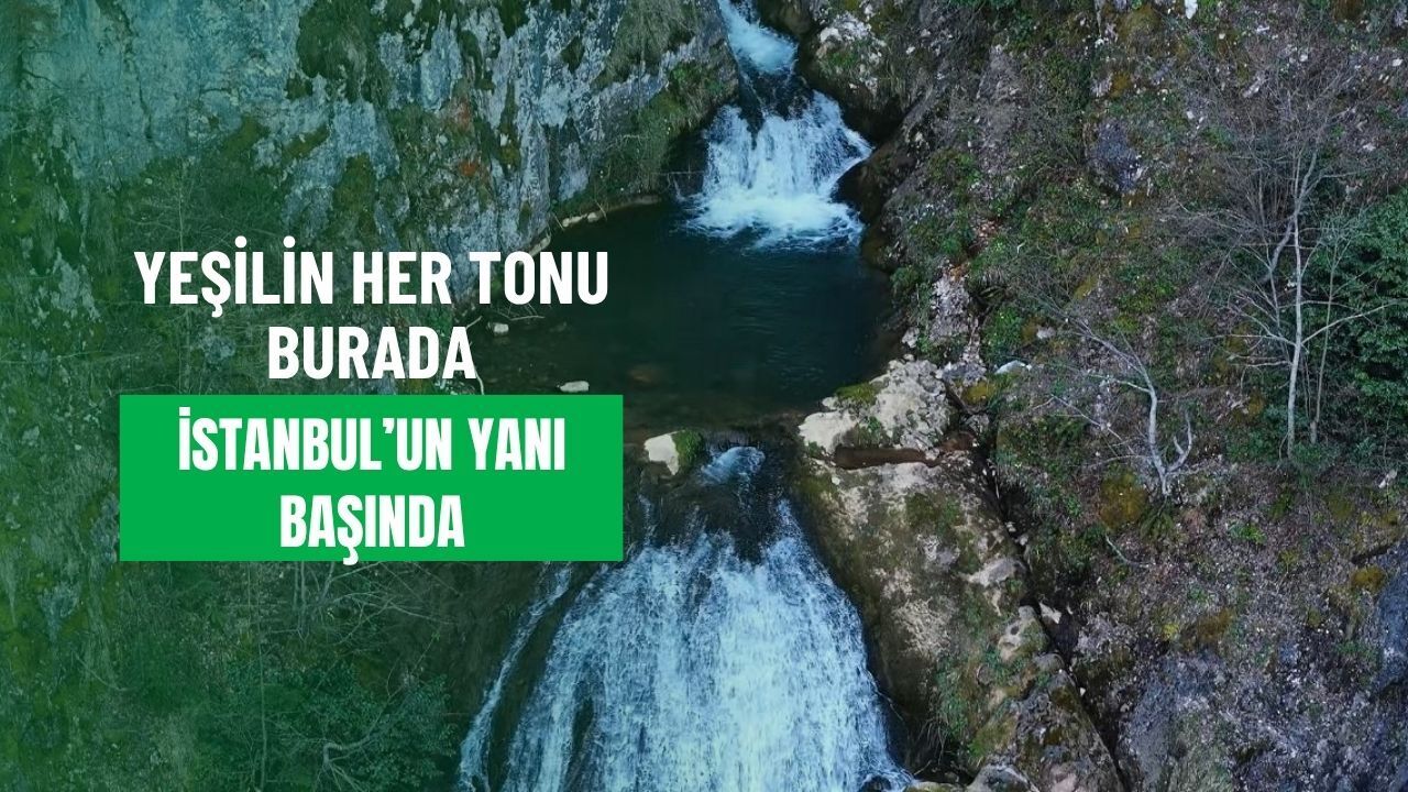 Yeşilin her tonu burada: İstanbul'un yanı başında