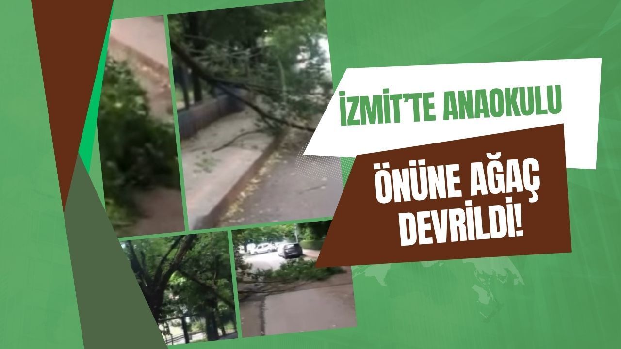 İzmit'te Anaokulu Önüne Ağaç Devrildi!