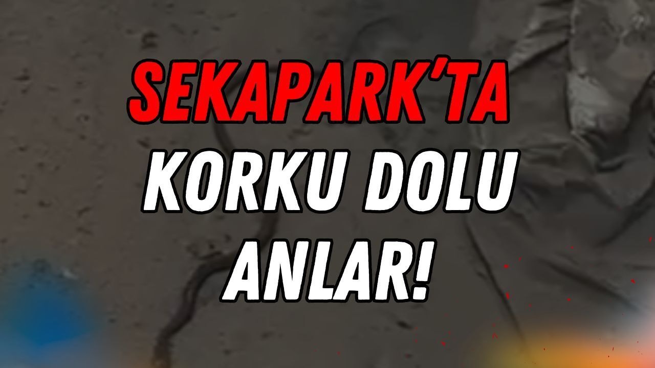 Seka Park'ta Korku Dolu Anlar: Çimenlerin Arasından Çıkan Yılan Çevredekileri Tedirgin Etti