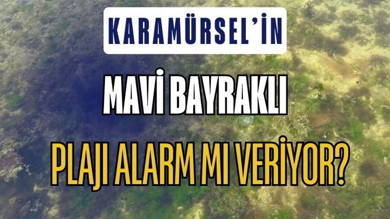 Kocaeli Karamürsel Mavi Bayraklı Plajda Kirlilik Alarmı