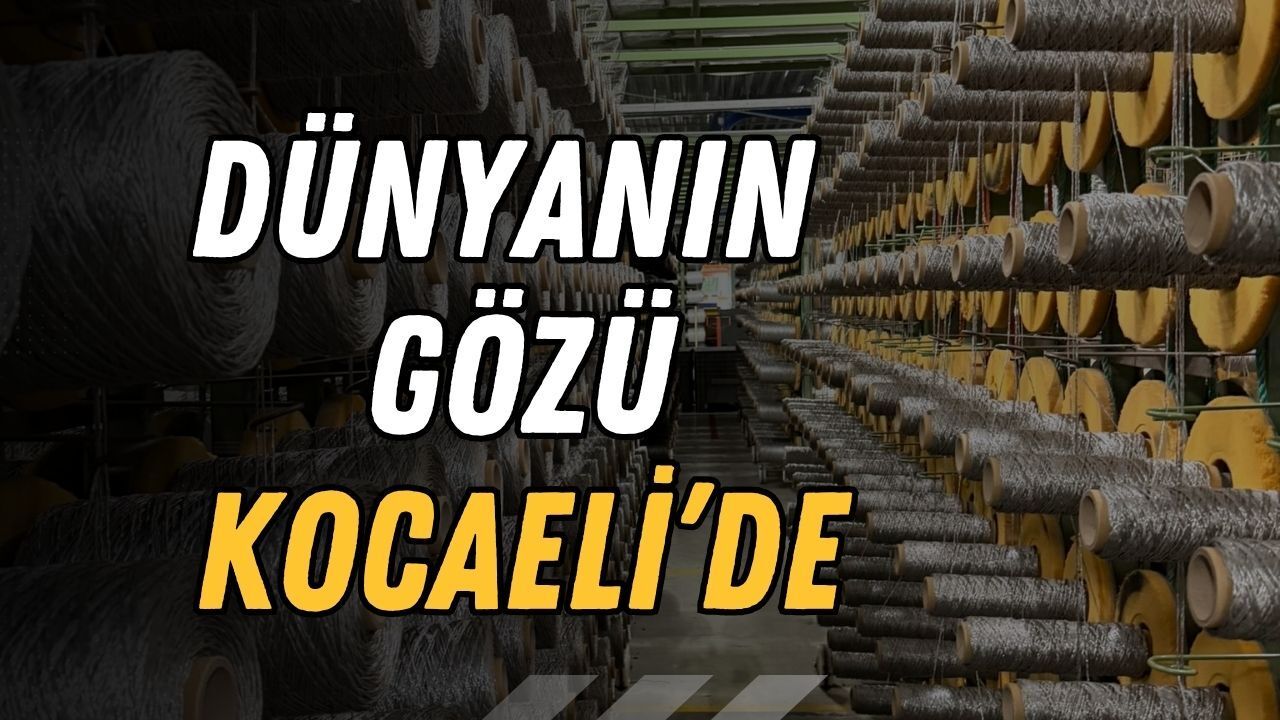 İzmit Körfezi İçin Hollanda’ya Teknik Çıkarma