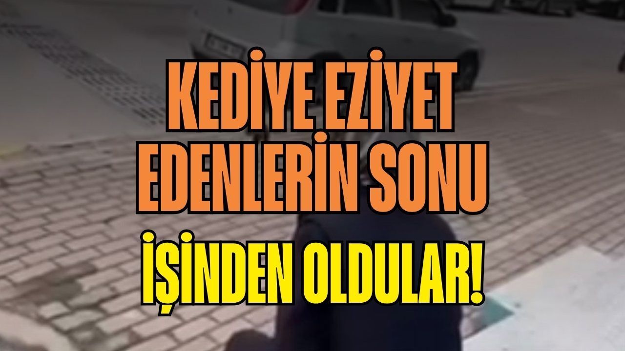 Karamürsel'de Vicdan Yaralayan Görüntüler! Kediye Eziyet Eden Market Çalışanı Kovuldu