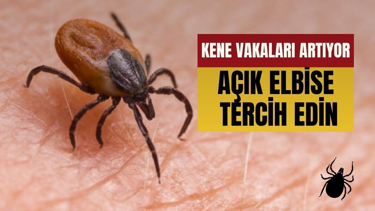 Kurban bayramı ziyaretçilerine hayati uyarı: açık renkli kıyafetler hayat kurtarabilir