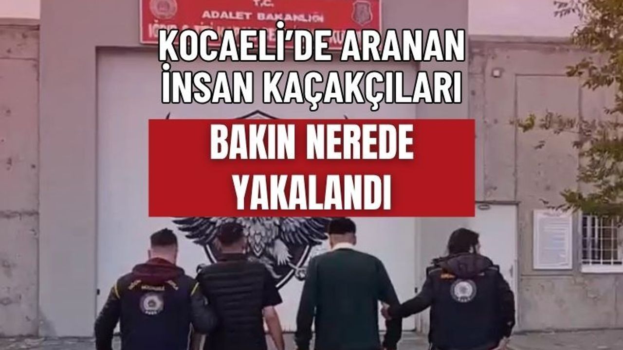 Kocaeli'de Aranan İnsan Kaçakçıları Bakın Nerede Yakalandı