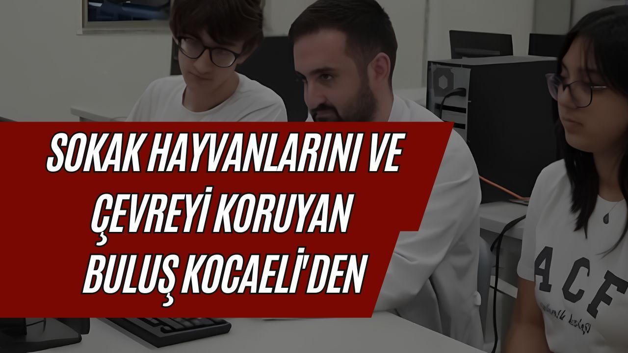 Sokak Hayvanlarını ve Çevreyi Koruyan Buluş Kocaeli'den