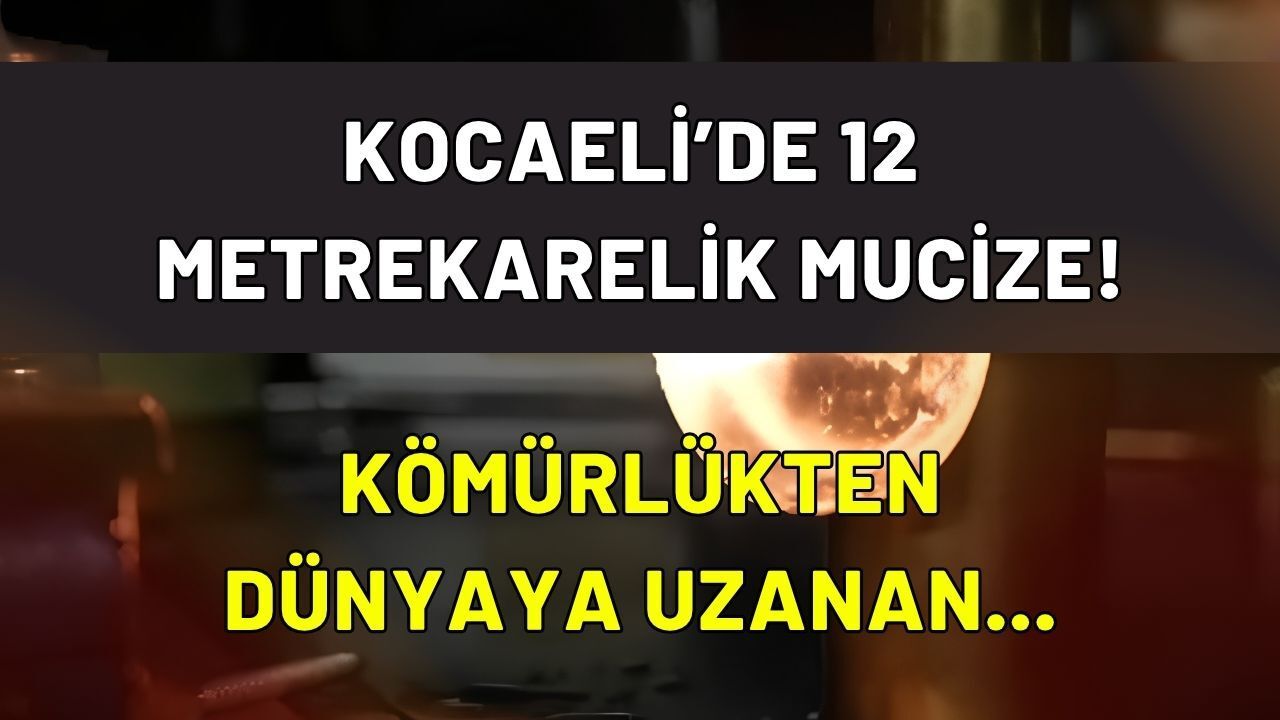 Kocaeli'de 12 Metrekarelik Mucize! Kömürlükten Bozma Atölyede Dünyaya Kafa Tutan Türk Usta