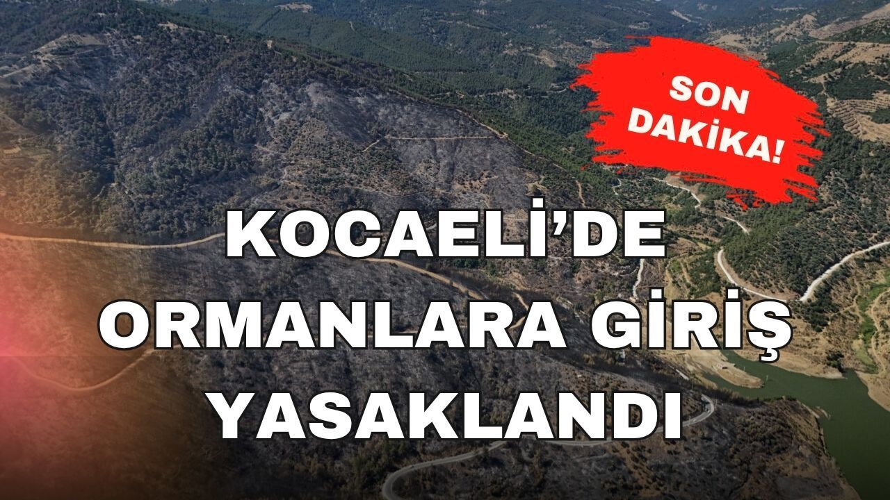 Son Dakika: Kocaeli'de Ormanlara Giriş Yasaklandı