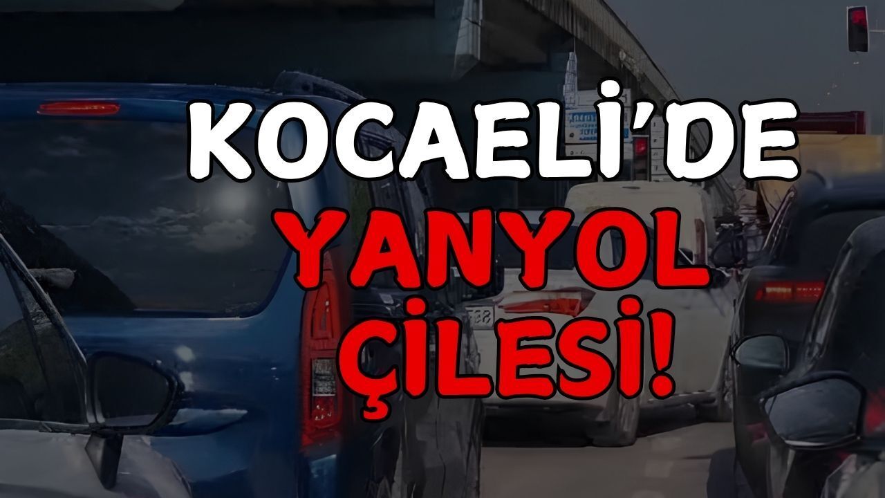 Kocaeli'de Brisa Işıklar'da Yanyol Çilesi