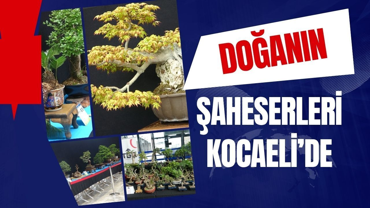 Doğanın Minyatür Şaheserleri Kocaeli'de