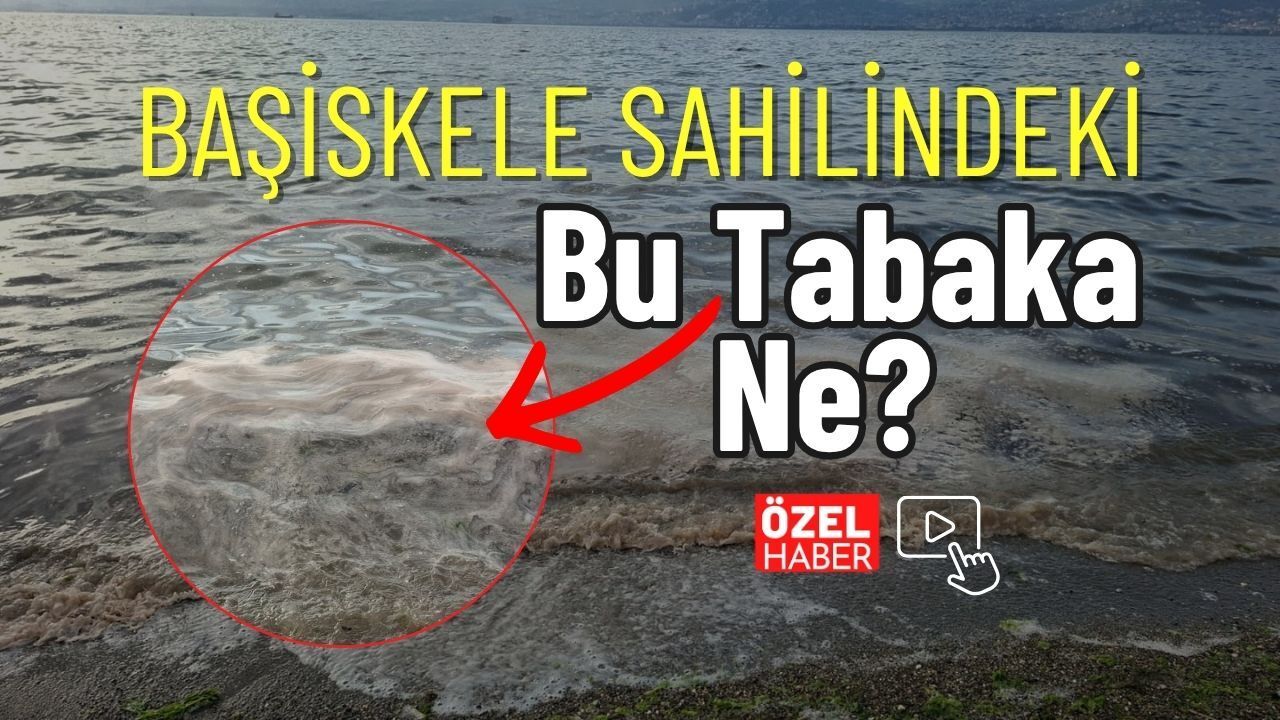 Başiskele Sahilindeki Bu Tabaka Ne?