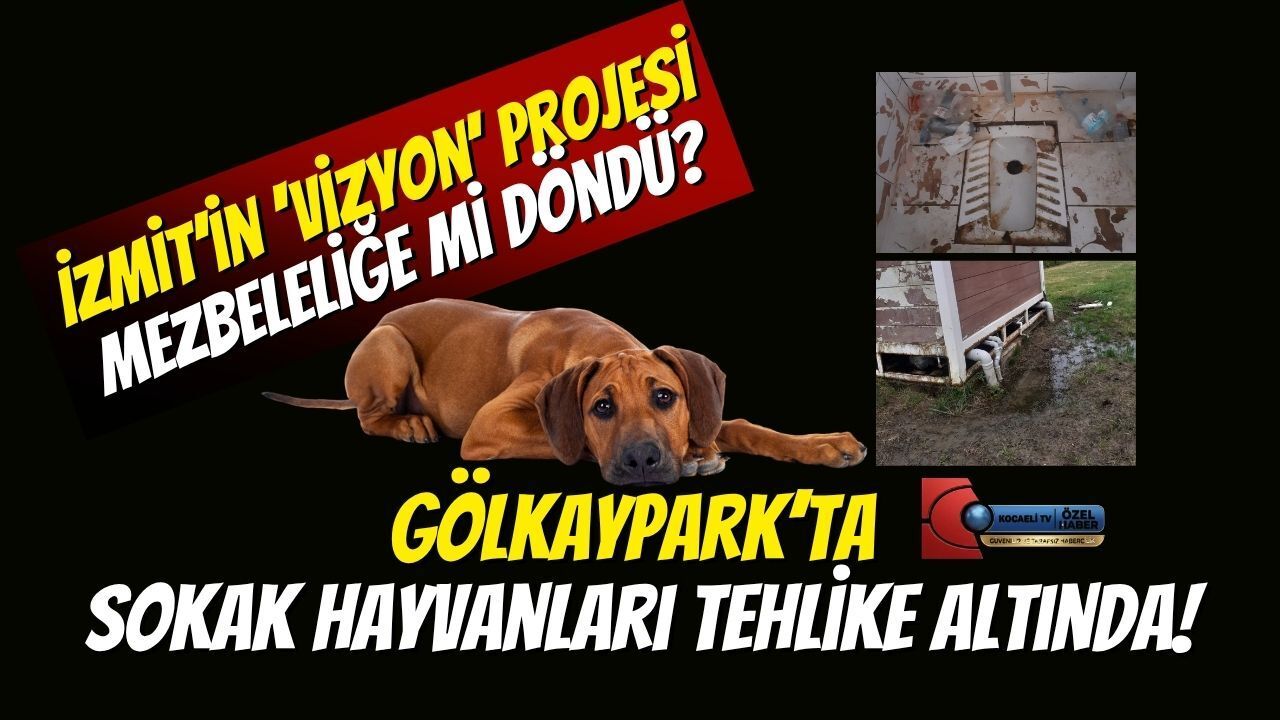 İzmit’in ‘Vizyon’ Projesi Mezbeleliğe mi Döndü? Gölkaypark’ta Sokak Hayvanları Tehlike Altında!