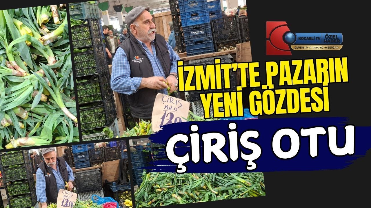 İzmit’te Pazarın Yeni Gözdesi: Çiriş Otu