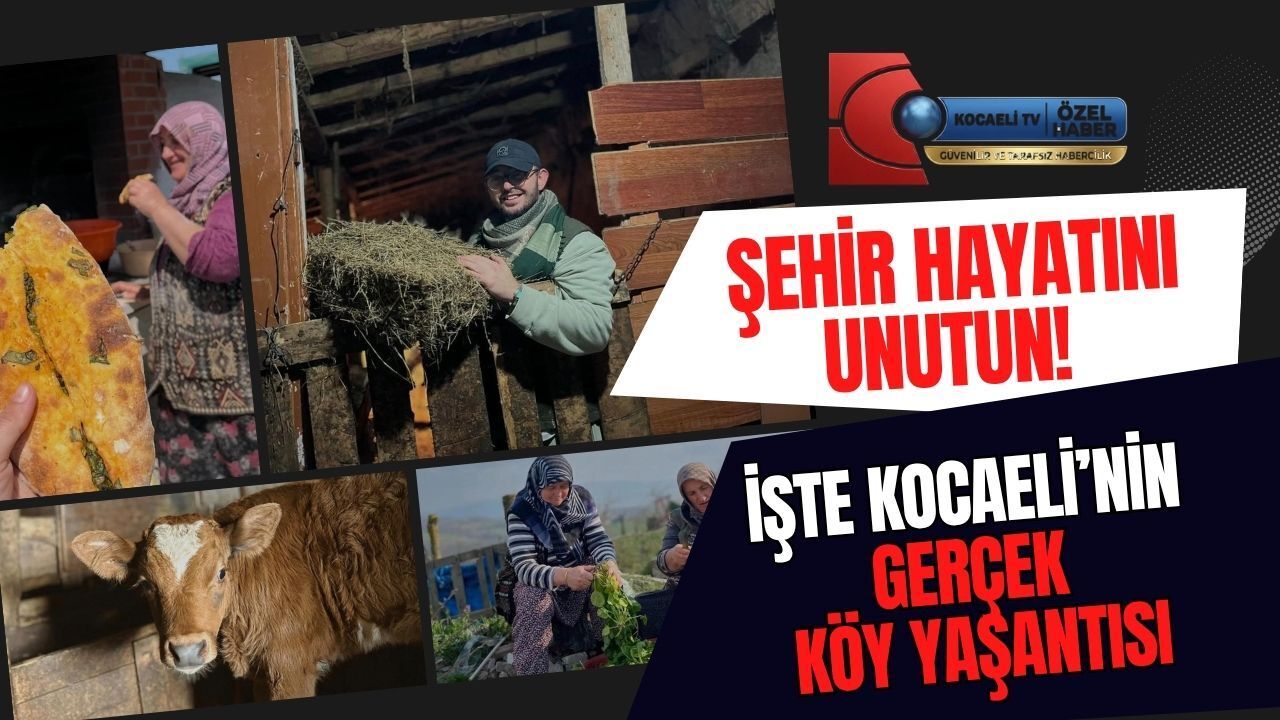 Şehir Hayatını Unutun! İşte Kocaeli’nin Gerçek Köy Yaşantısı