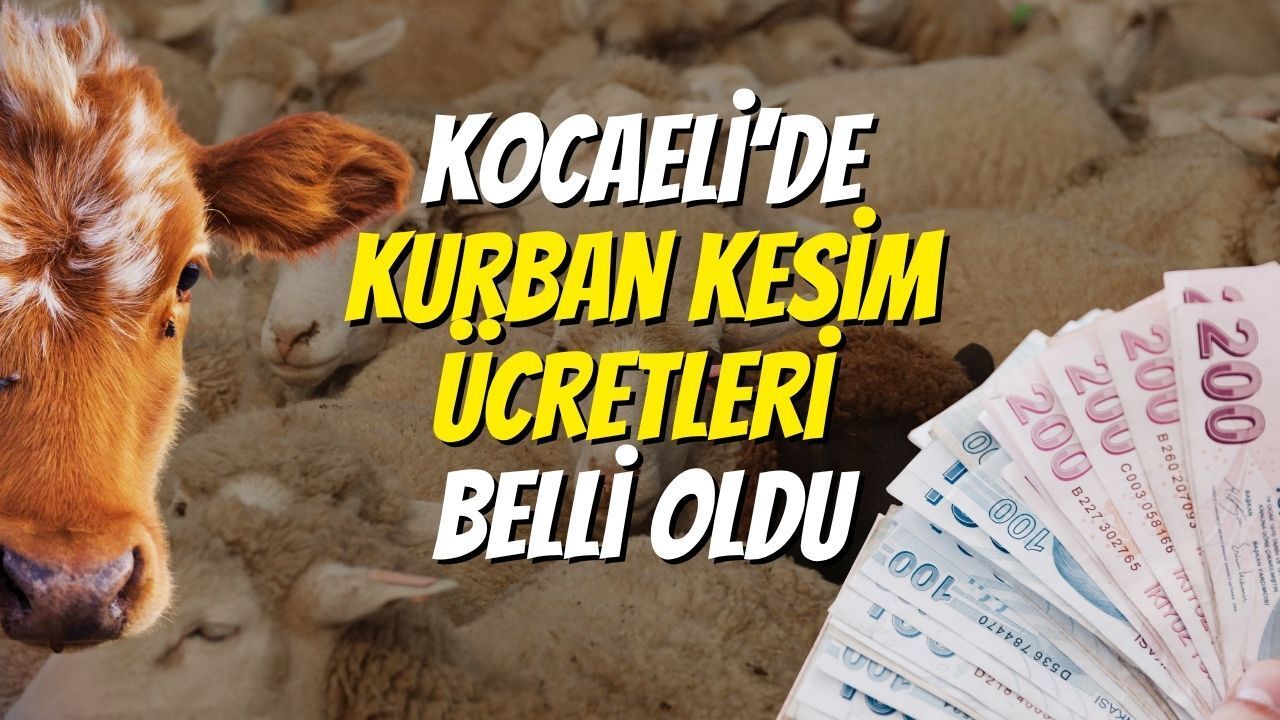 Kocaeli’de Kurban Kesim Ücretleri Belli Oldu