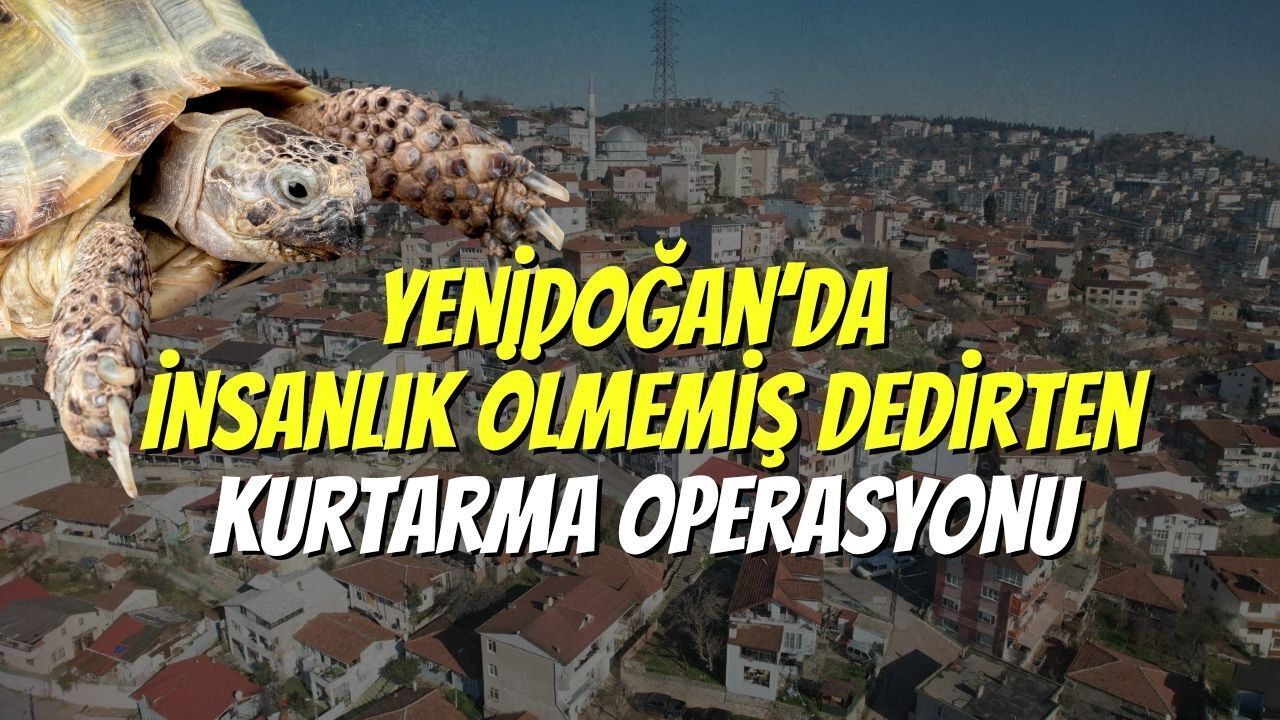 İzmit Yenidoğan’da İnsanlık Ölmemiş Dedirten Kurtarma Operasyonu