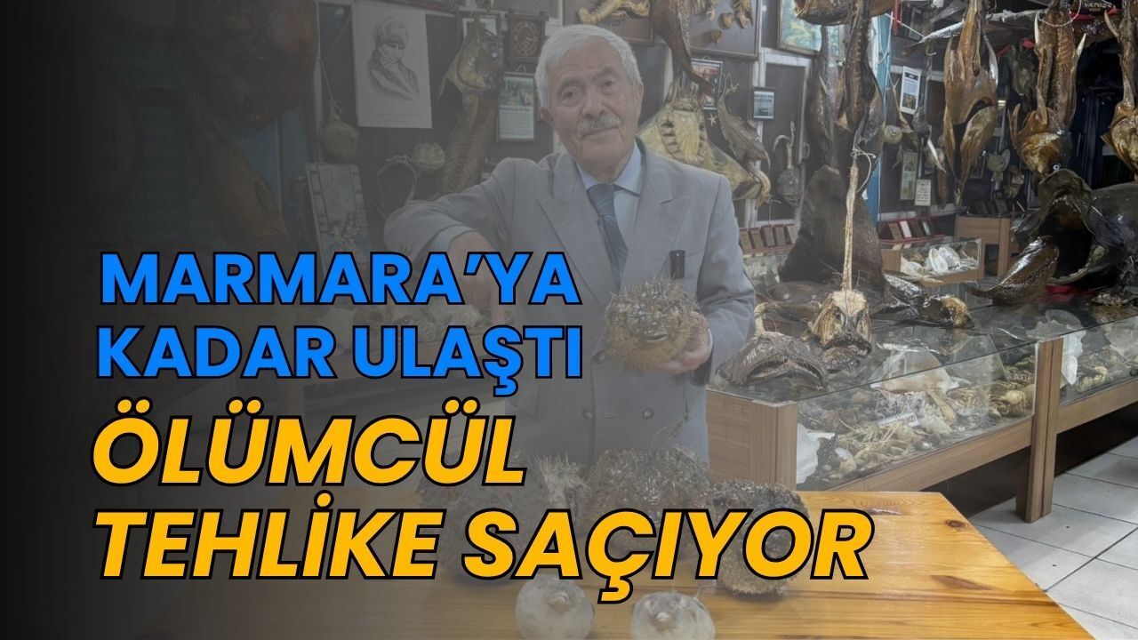 Marmara'ya Kadar Ulaştı: Ölümcül Tehlike Saçıyor