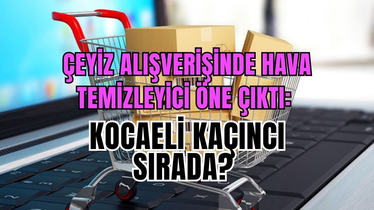 Çeyiz Alışverişinde Hava Temizleyici Öne Çıktı: Kocaeli Kaçıncı Sırada?