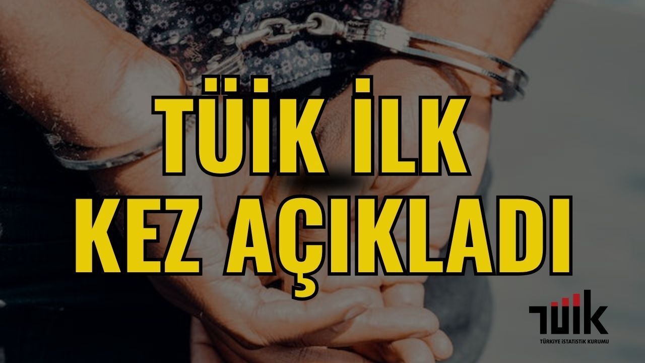 TÜİK İlk Kez Yayımladı: Türkiye Suç Mağduriyeti Araştırması 2025 Sonuçları Açıklandı