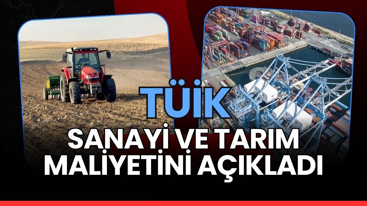 TÜİK Sanayi ve Tarım Maliyetlerini Açıkladı: Enerji ve Gübre Fiyatları Zirveye Oynuyor