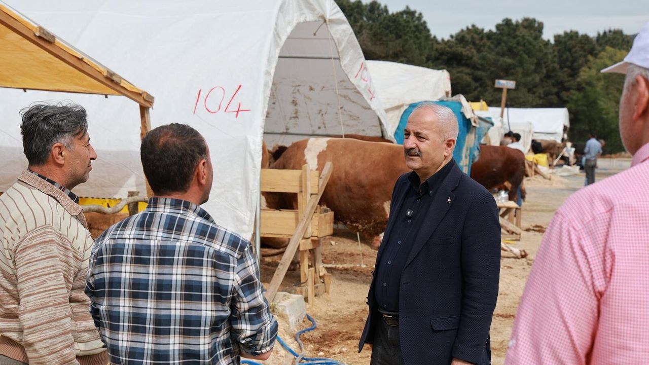 Gebze kurban pazarında hazırlıklar tamam: başkan büyükgöz denetimleri sürdürüyor