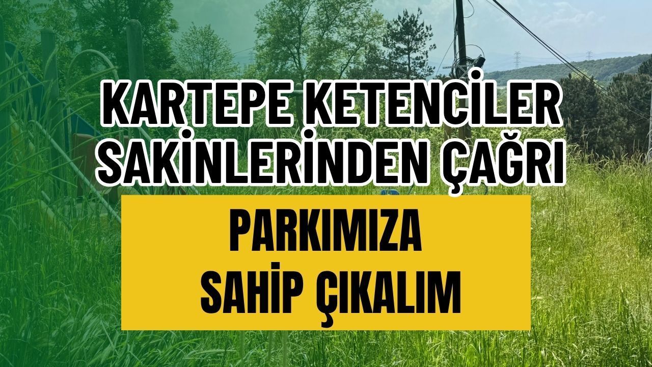 Kartepe Ketenciler'de park krizi: Çocukların oyun alanını arılar ve sahipsiz köpekler bastı!