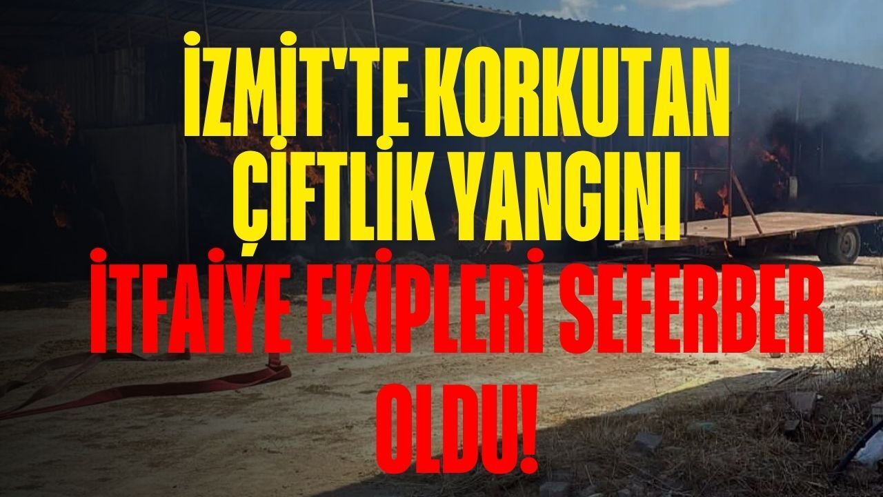 İzmit'te Korkutan Çiftlik Yangını: İtfaiye Ekipleri Seferber Oldu!